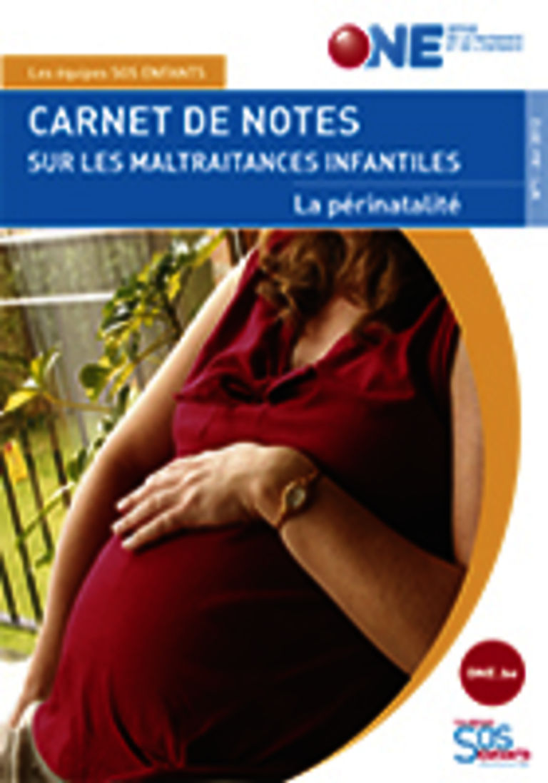 une femme enceinte caresse son ventre