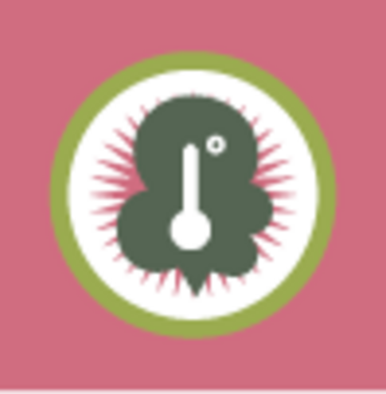 thermomètre et bactéries