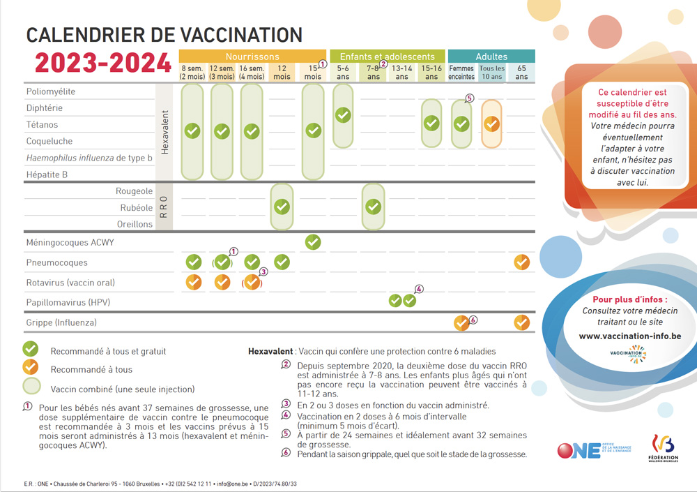 Grand calendrier des vaccins 2024, calendrier des virus et des bactéries -   France